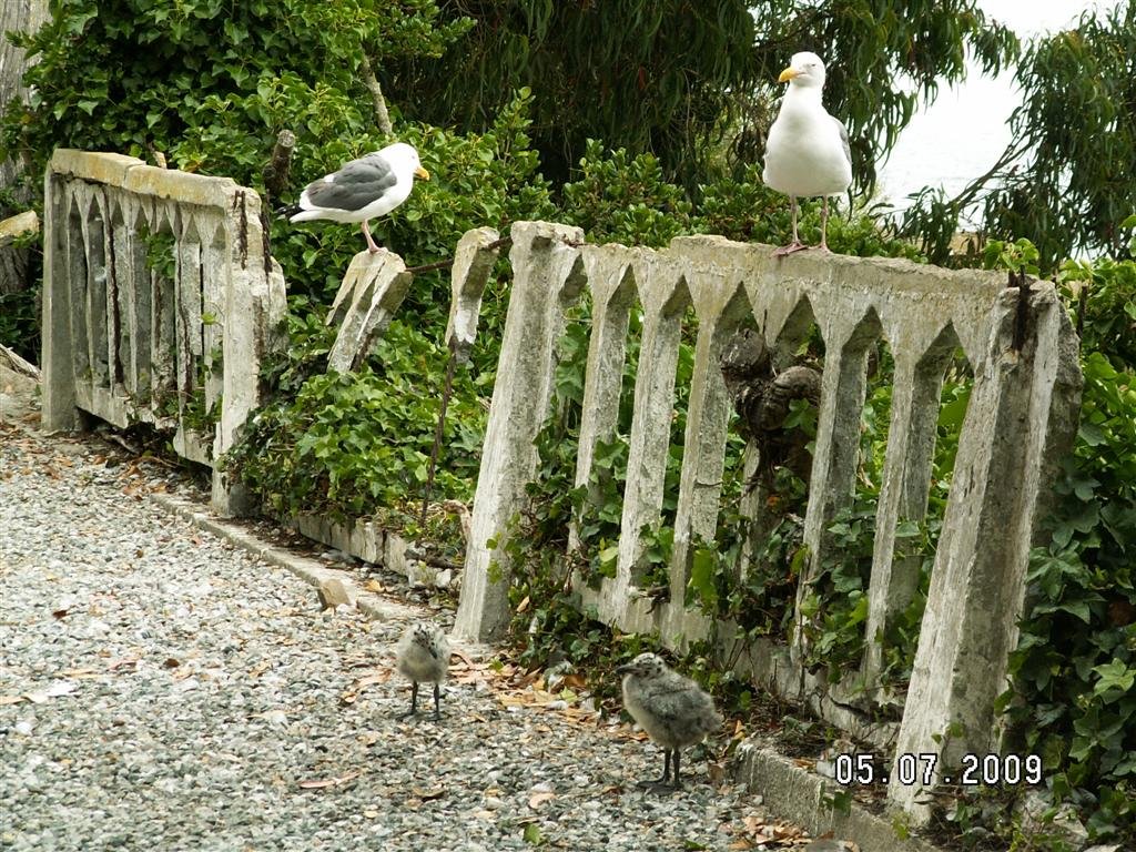 pict0033.jpg
