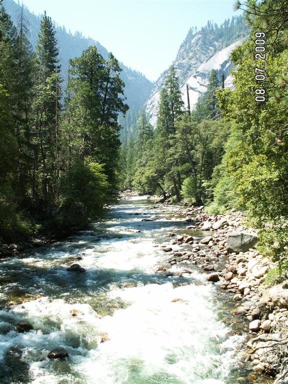 pict0370.jpg