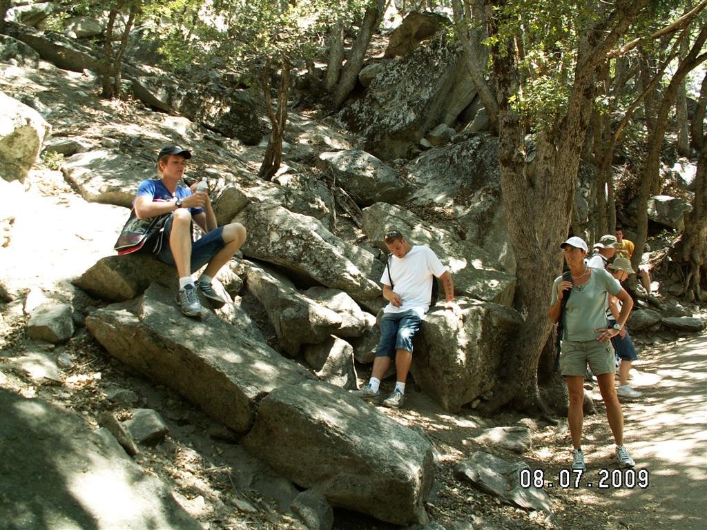 pict0385.jpg