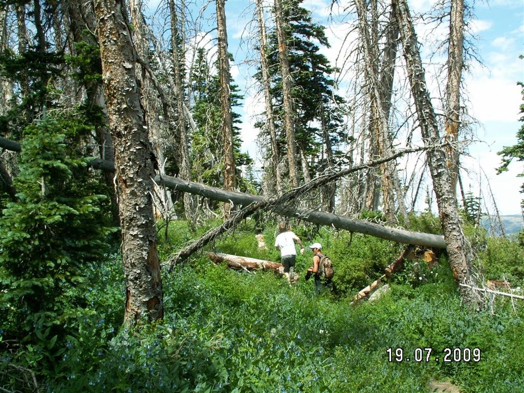 pict0573.jpg