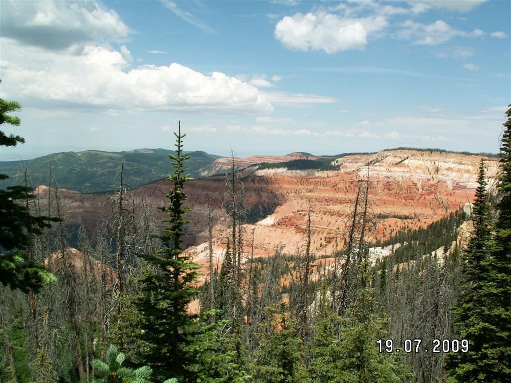 pict0577.jpg