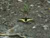 pict0578_small.jpg