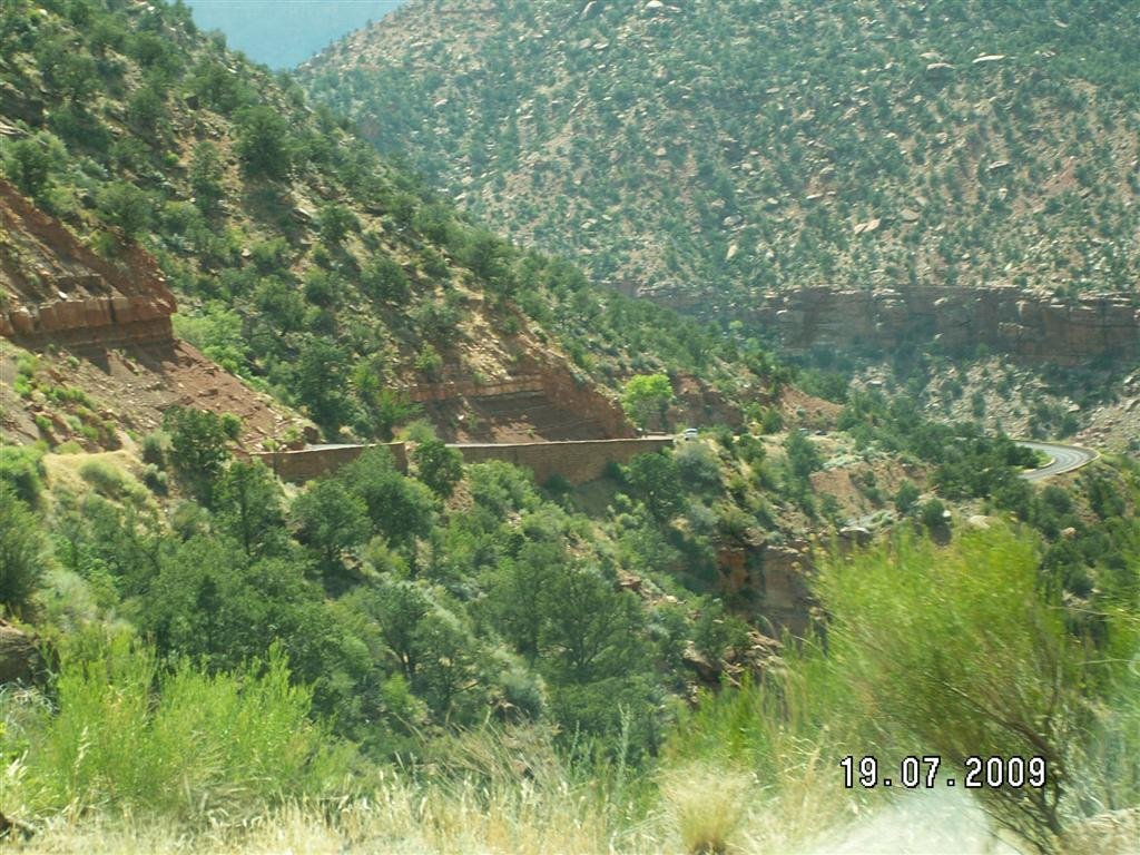 pict0619.jpg