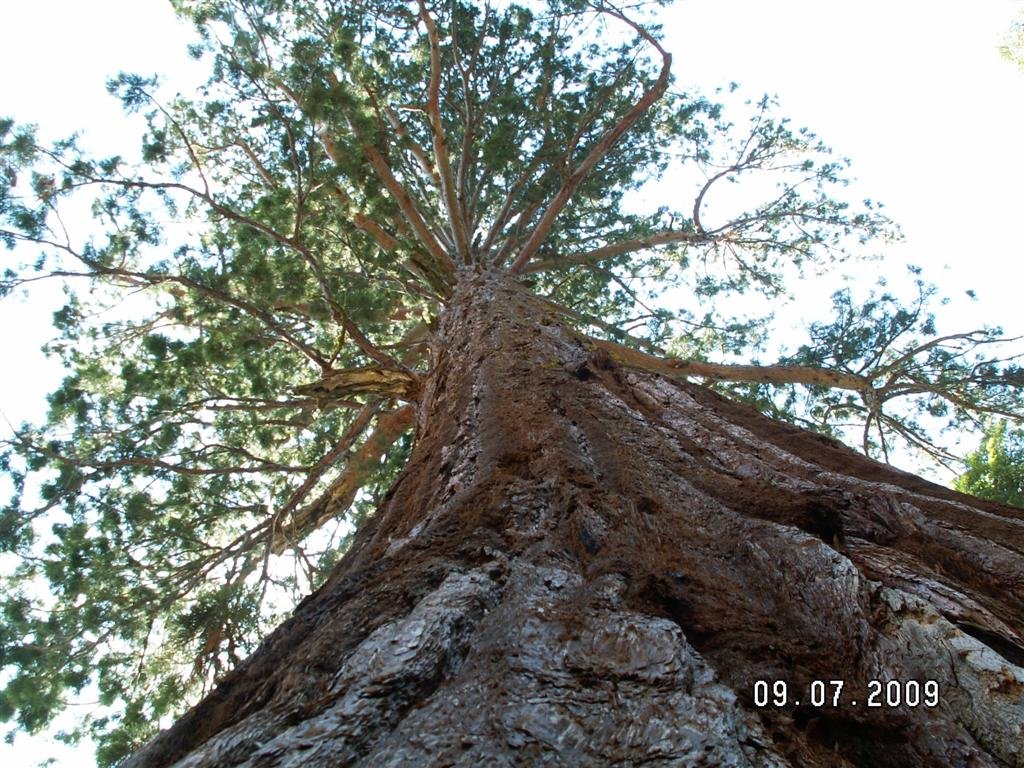 pict0668.jpg