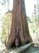 pict0669_small.jpg