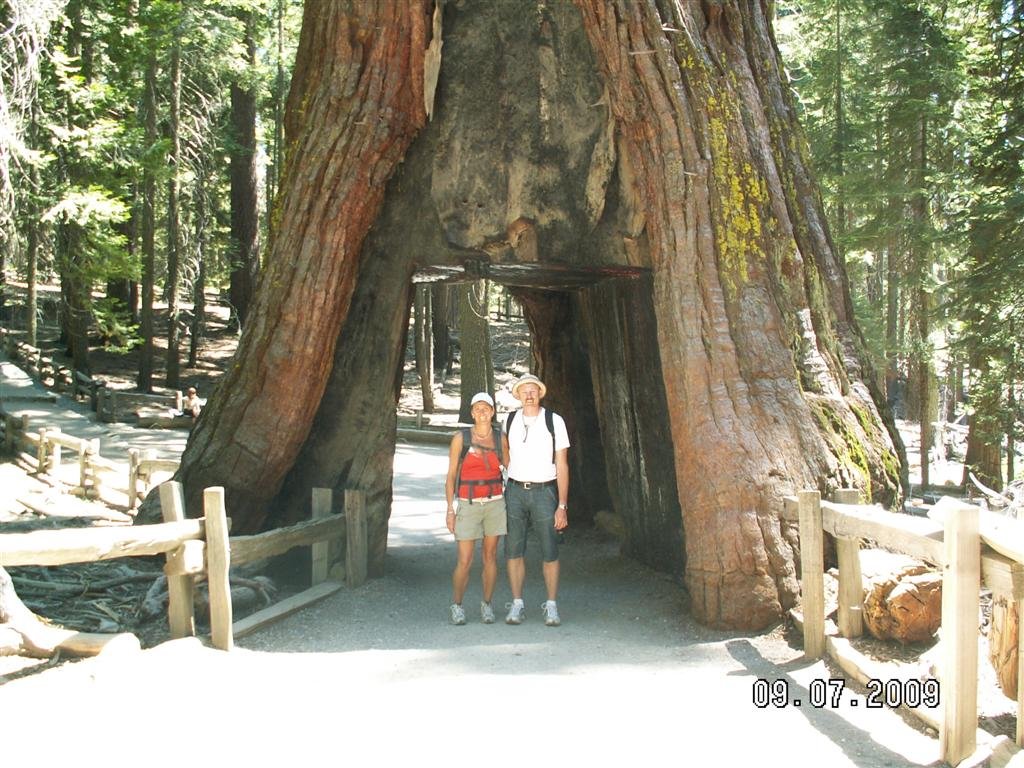 pict0672.jpg