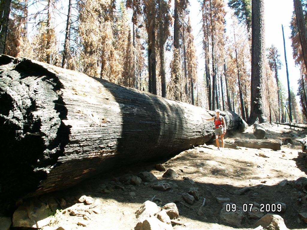 pict0690.jpg