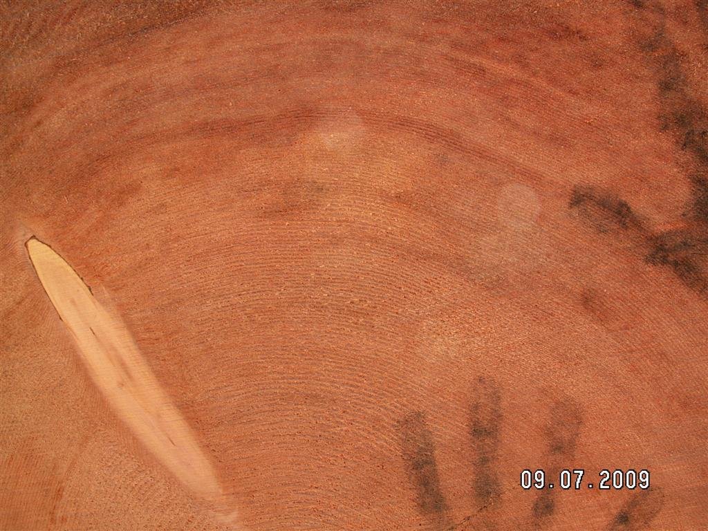 pict0694.jpg