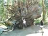 pict0697_small.jpg