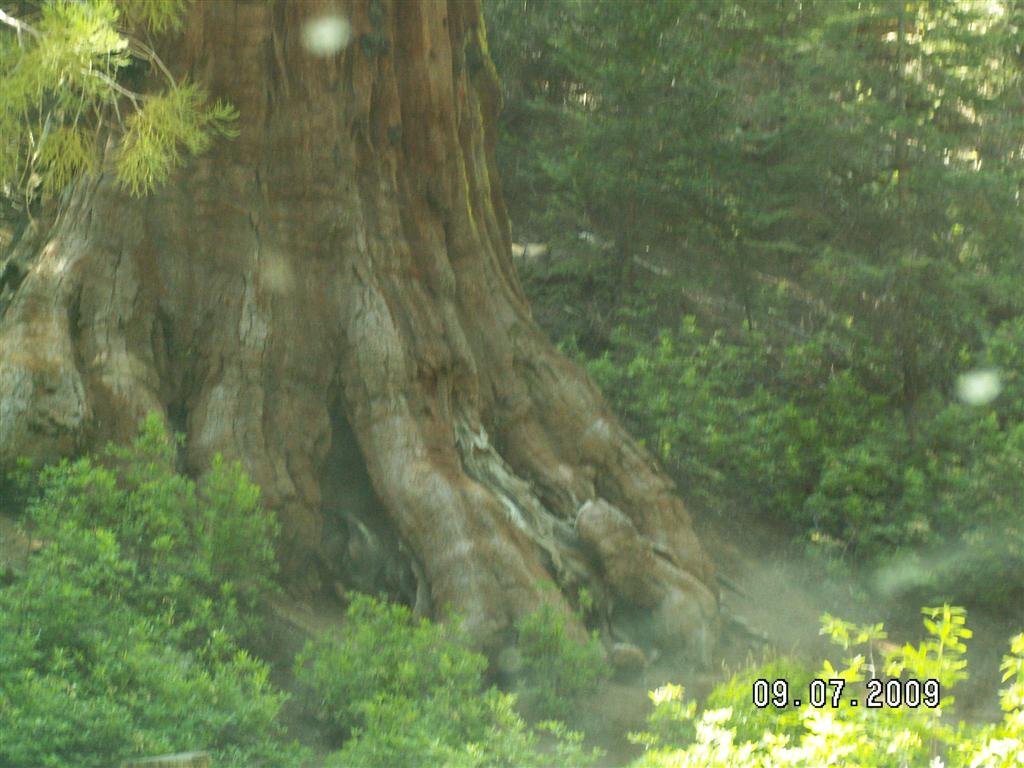 pict0707.jpg