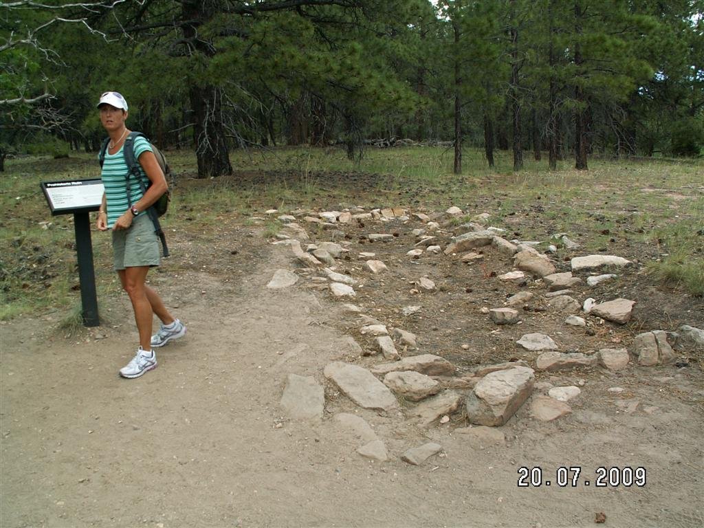 pict0771.jpg