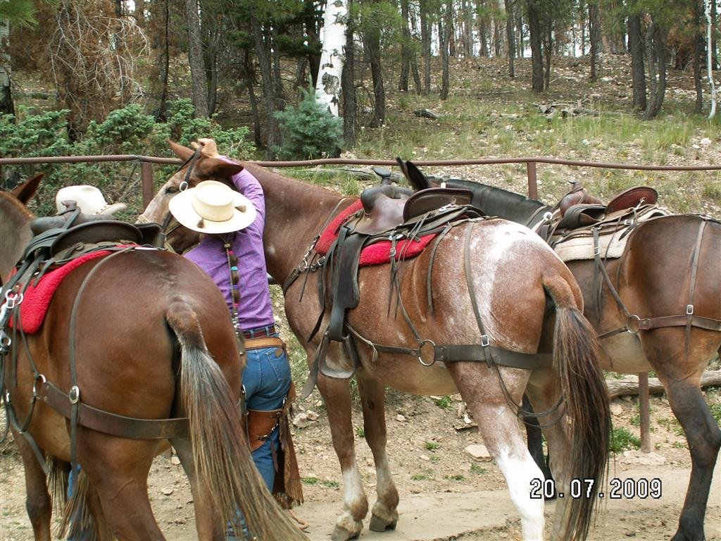 pict0781.jpg