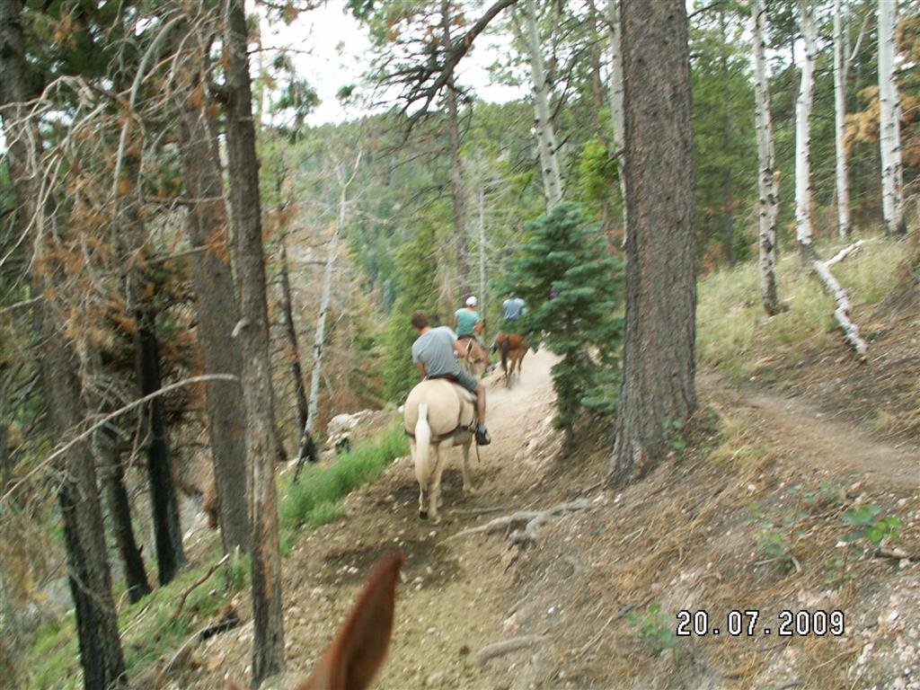 pict0801.jpg