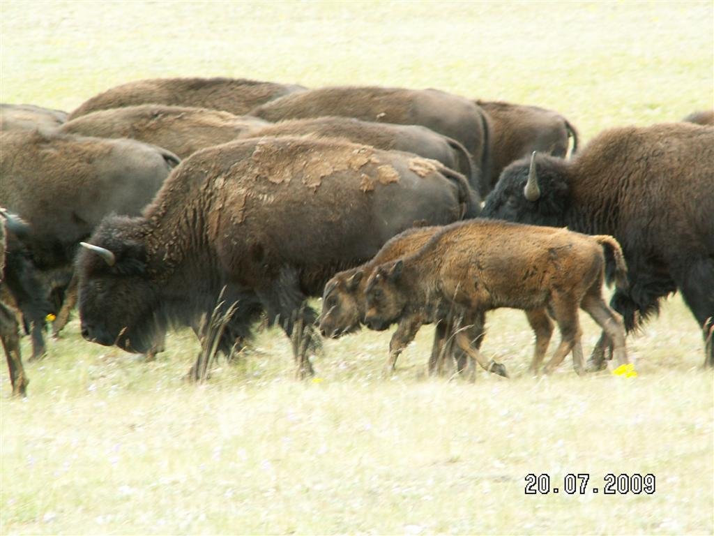 pict0810.jpg