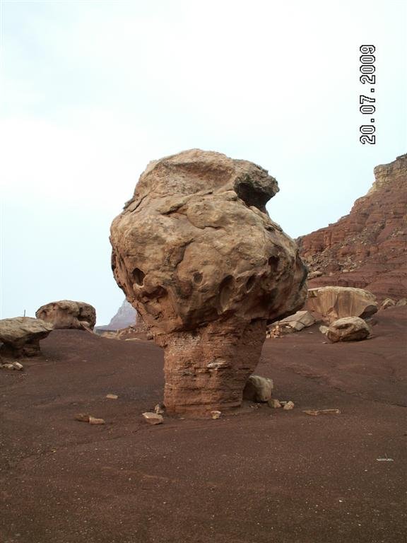 pict0824.jpg