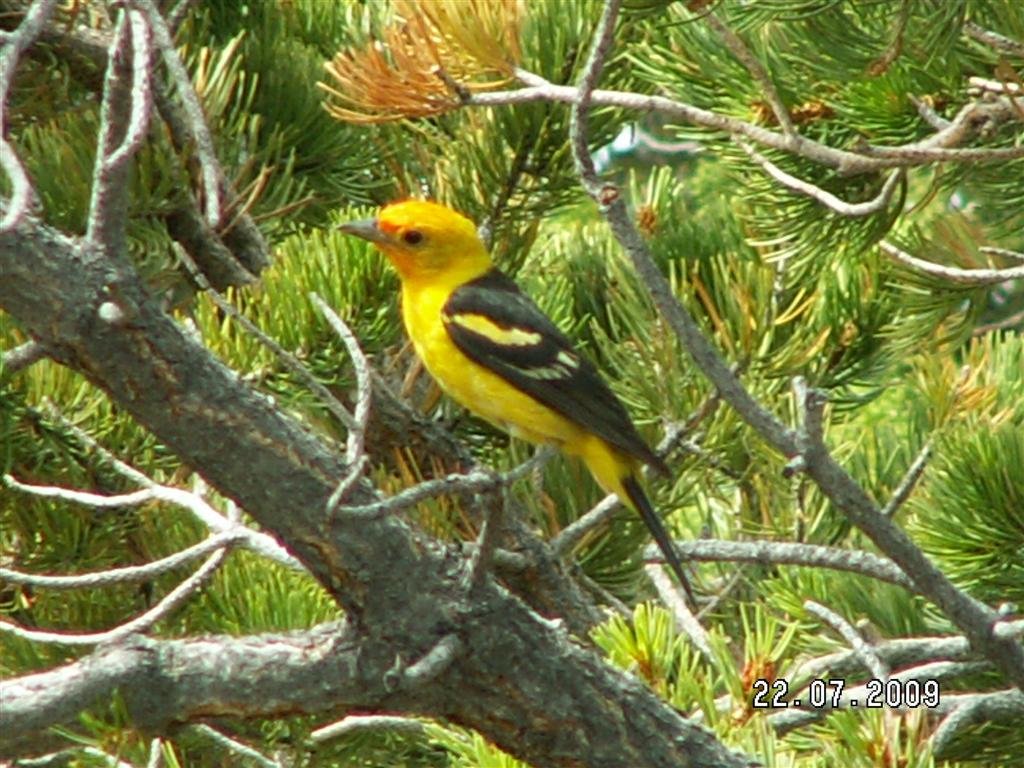 pict0212.jpg