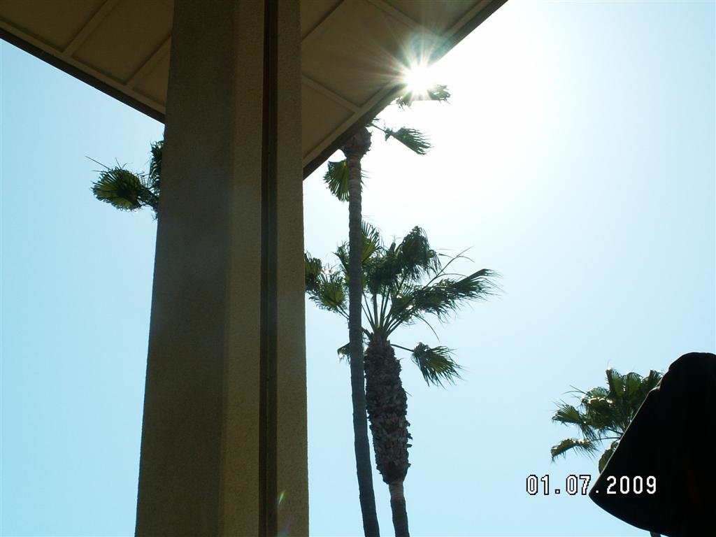 pict0190.jpg