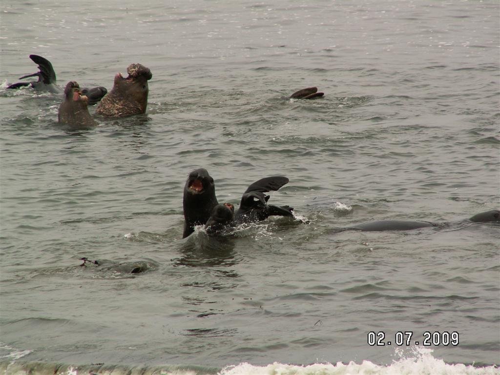 pict0257.jpg