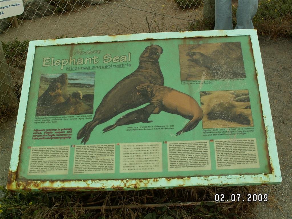 pict0261.jpg