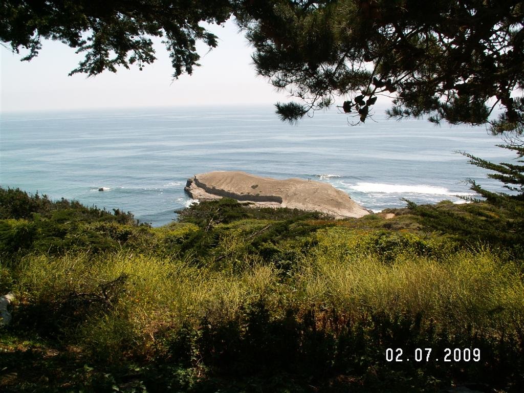 pict0344.jpg