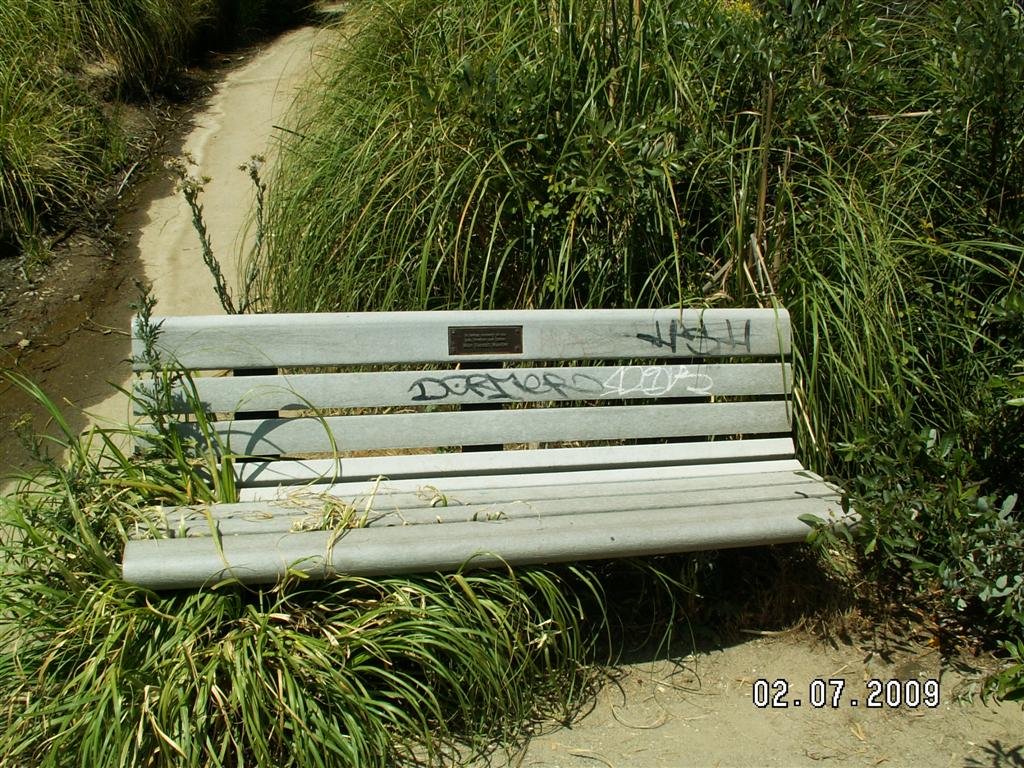 pict0352.jpg