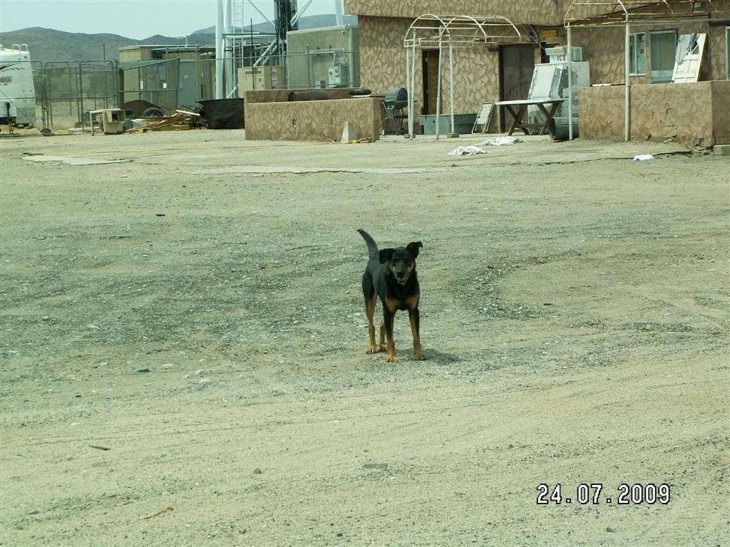 pict0420.jpg