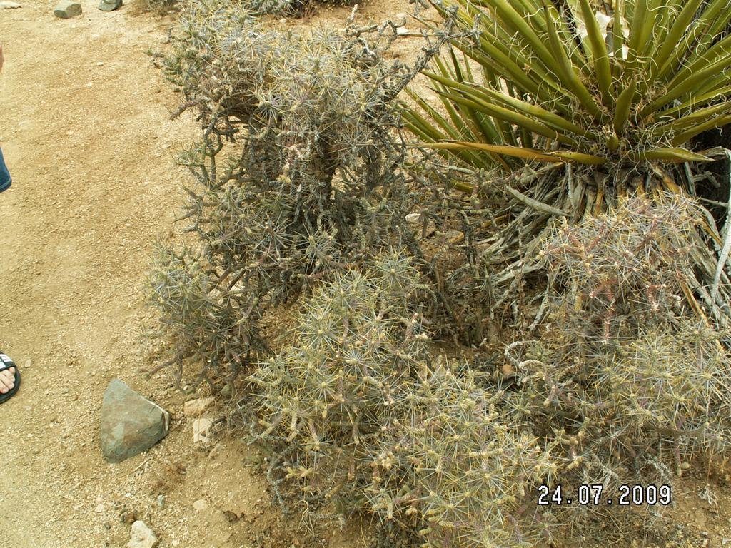 pict0453.jpg