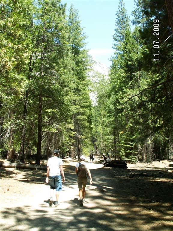 pict0771.jpg