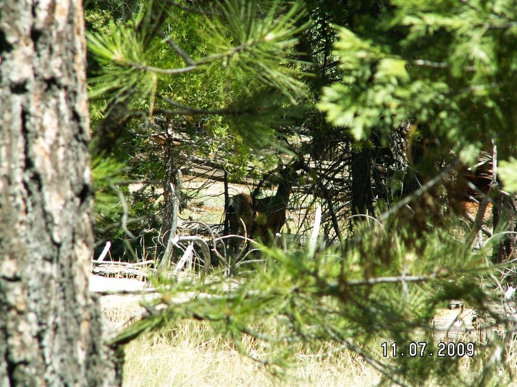 pict0776.jpg