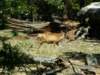 pict0778_small.jpg