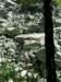 pict0812_small.jpg