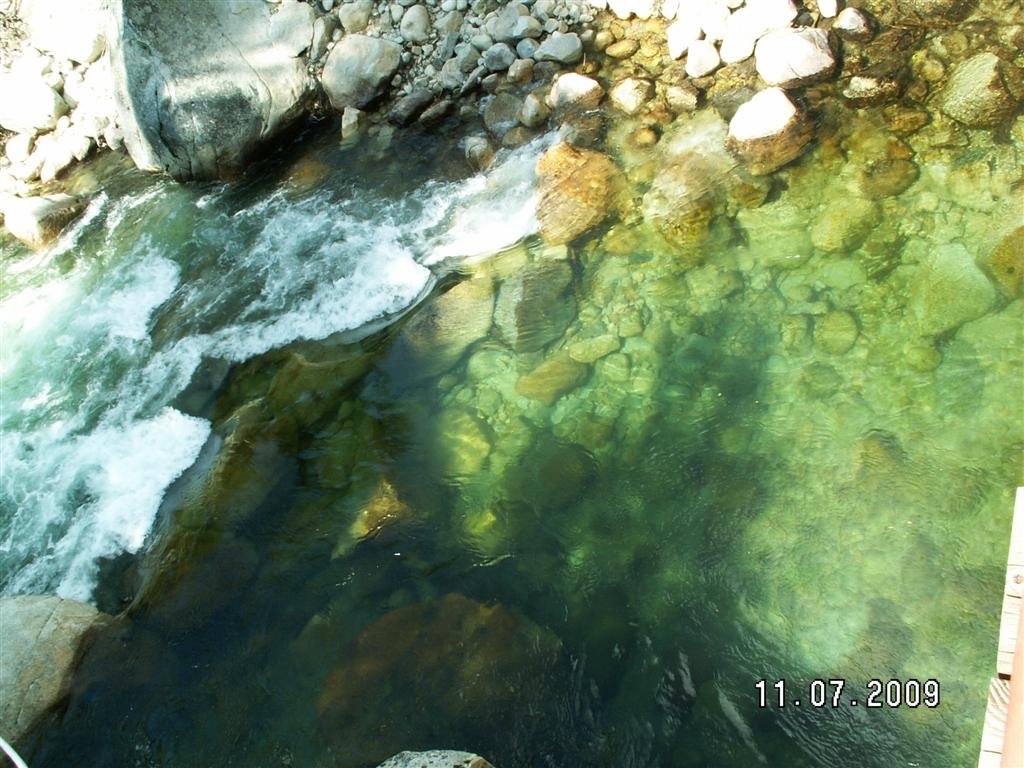 pict0845.jpg