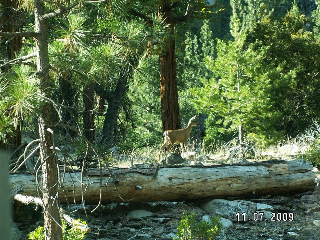 pict0849.jpg