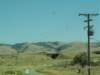 pict0020_small.jpg