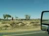pict0041_small.jpg