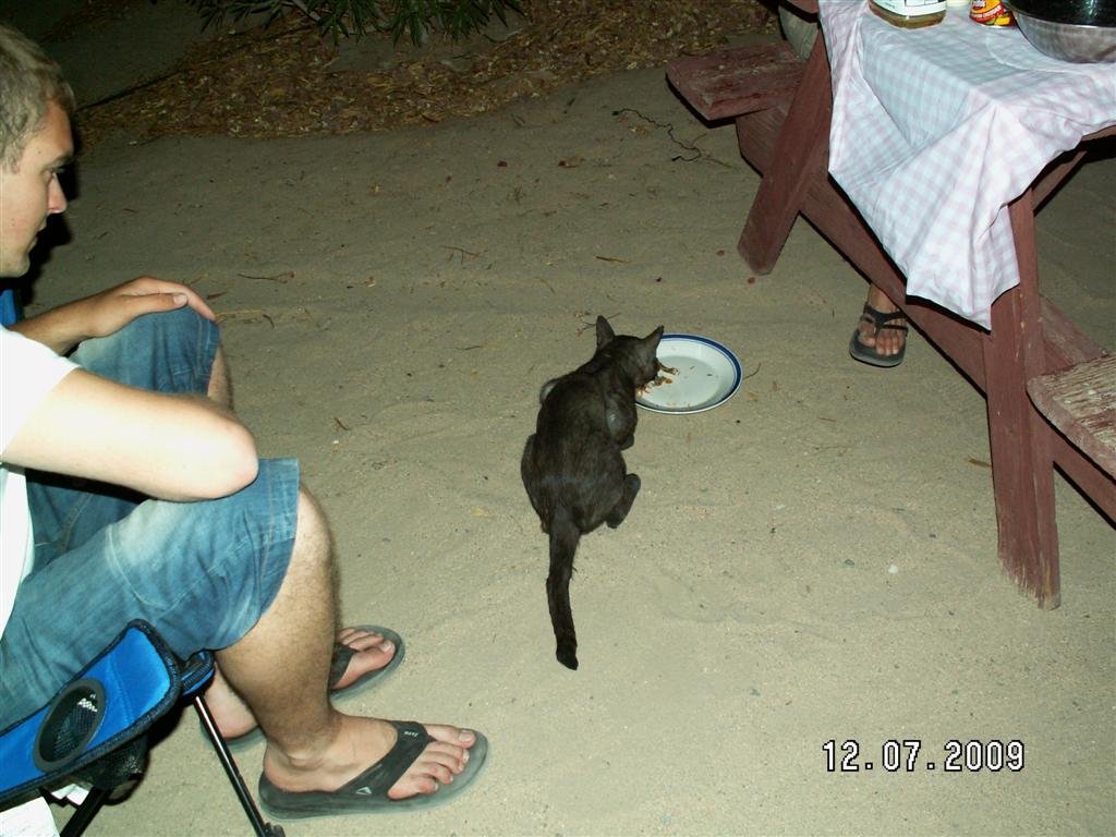 pict0062.jpg