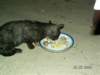 pict0068_small.jpg