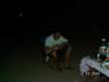 pict0069_small.jpg