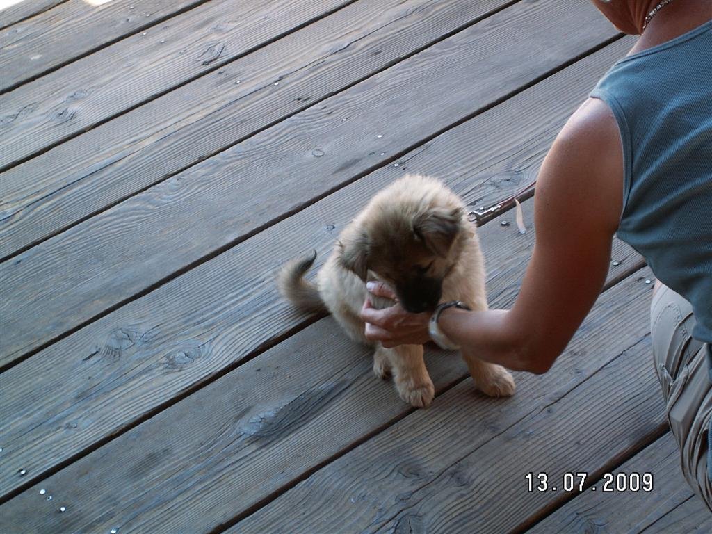 pict0121.jpg
