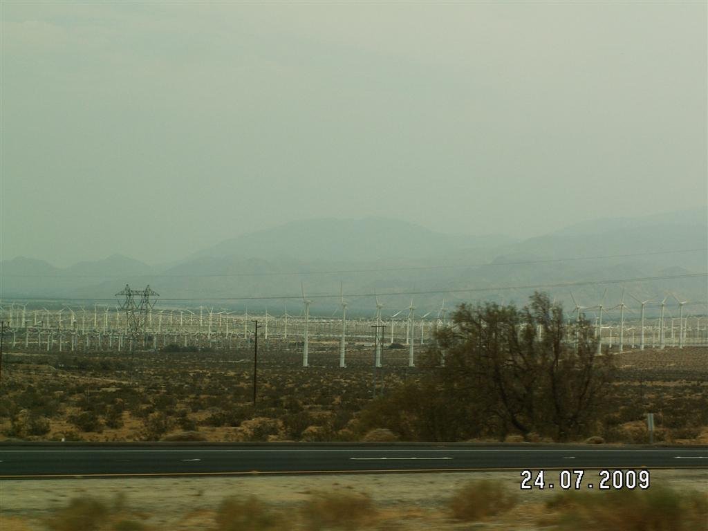 pict0519.jpg