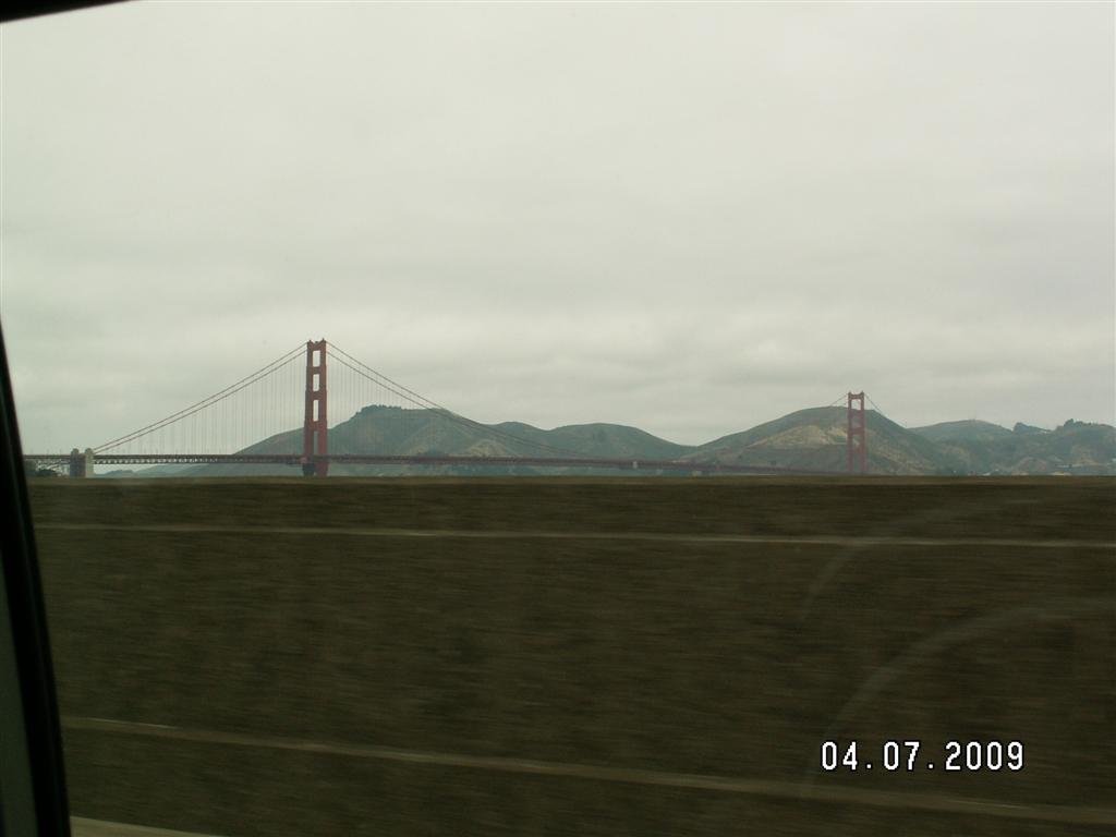 pict0529.jpg