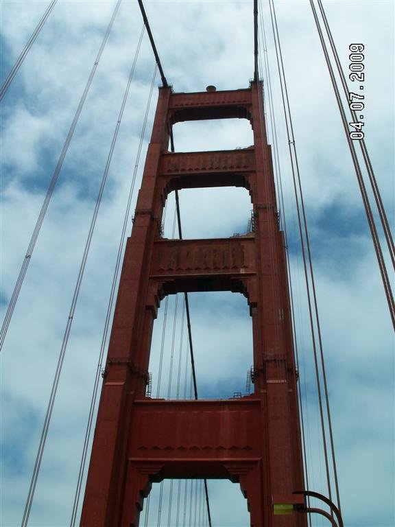 pict0561.jpg