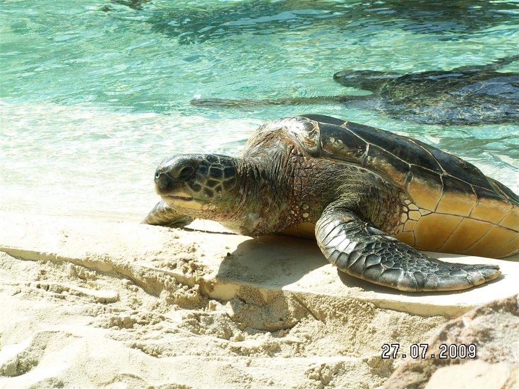 pict0037.jpg