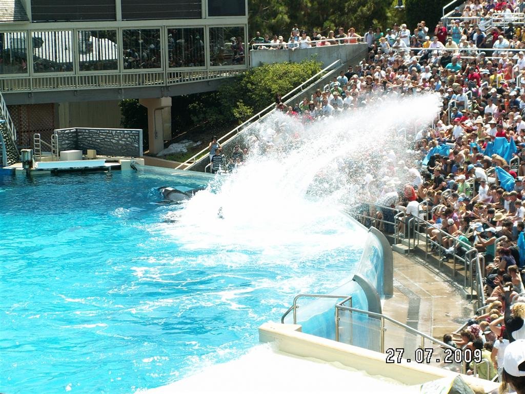 pict0068.jpg