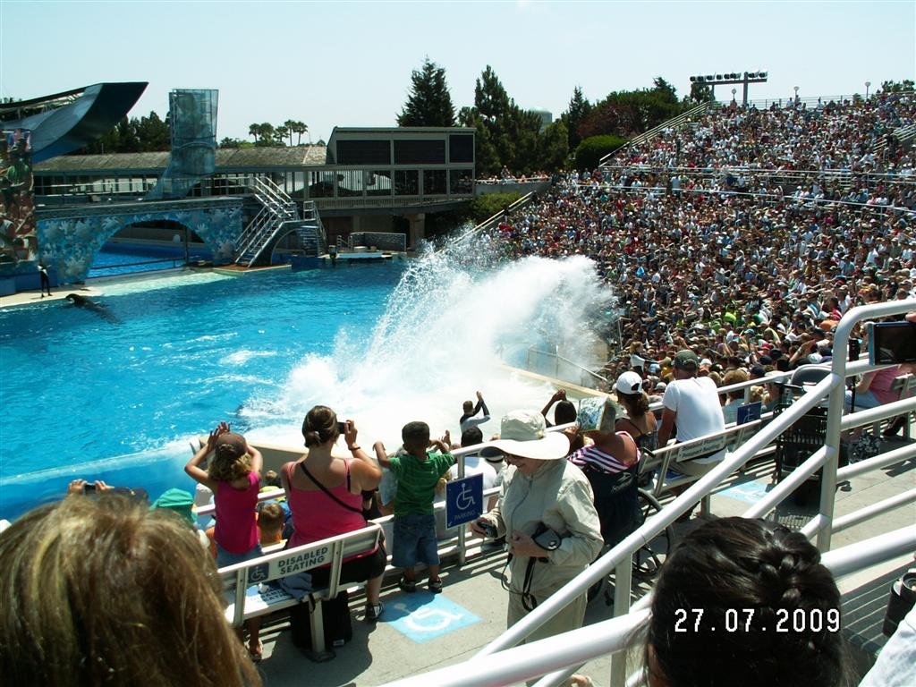 pict0070.jpg