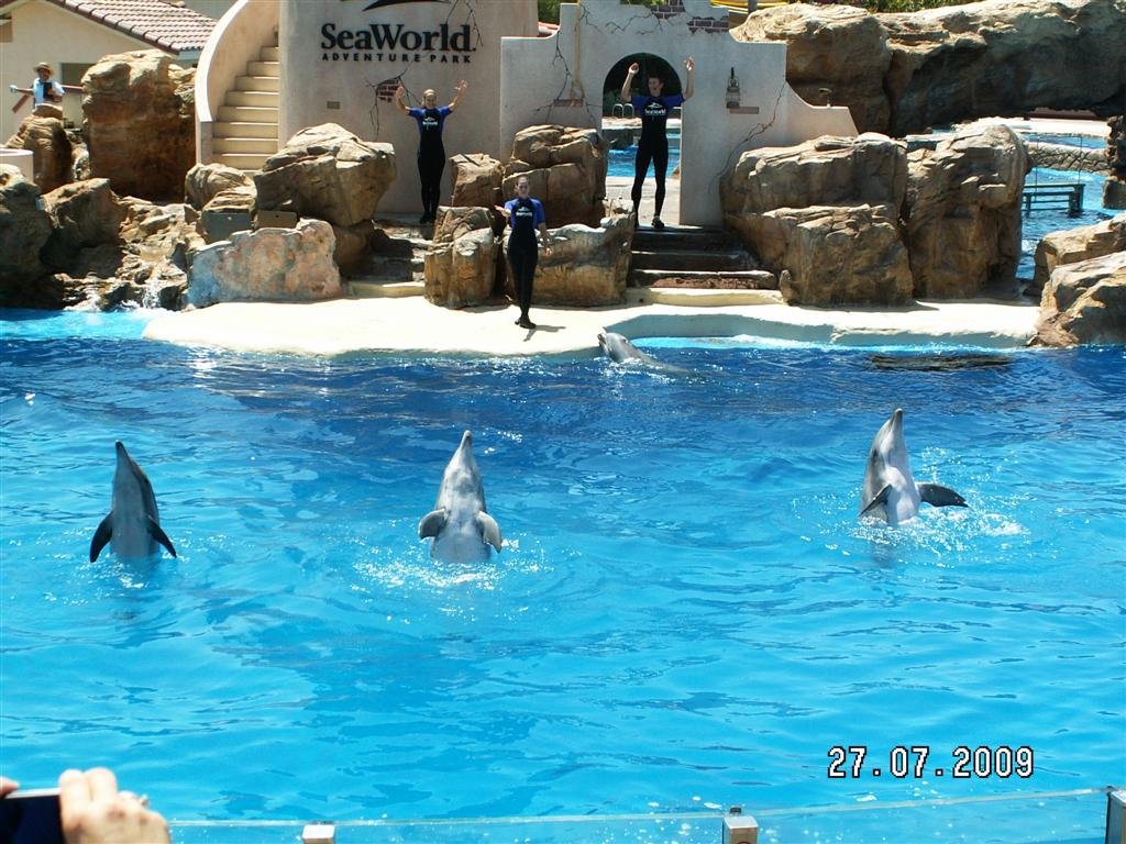 pict0086.jpg