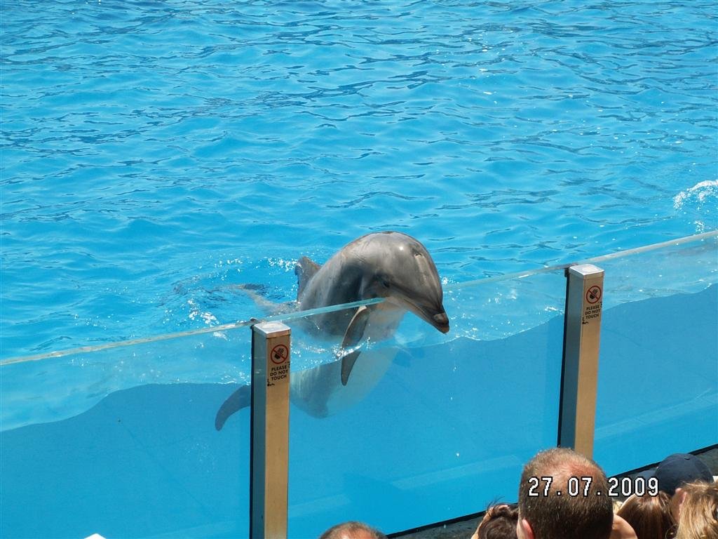 pict0093.jpg