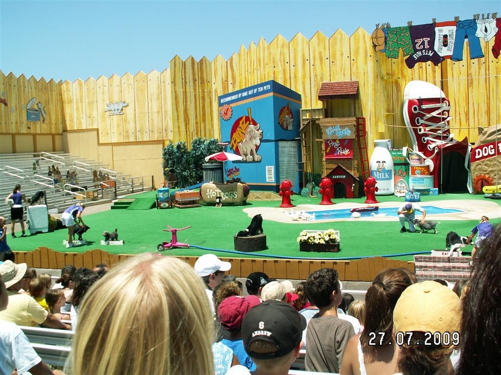 pict0126.jpg