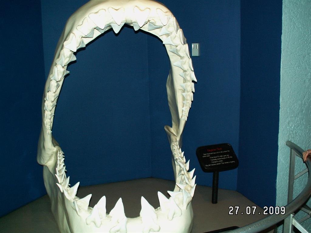 pict0128.jpg