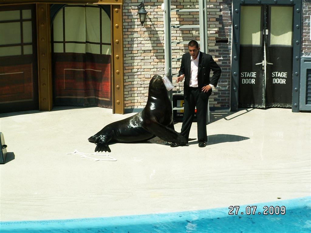 pict0137.jpg